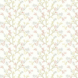Sample of Stout Alcot Champagne 1 Comfortable Living Collection Multipurpose Fabric