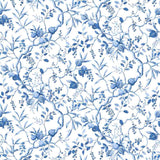 Sample of Stout Ariel 7425-4 Bassett McNab Collection Multipurpose Fabric