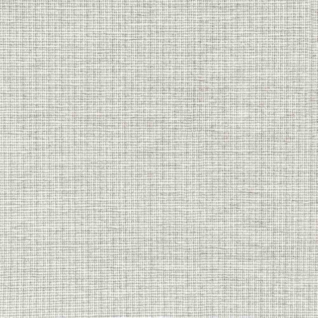 Sample of Stout Beginnings Windswept 7804-7 Bassett McNab Collection Drapery Fabric