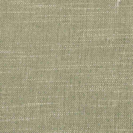 Sample of Stout Benton Avocado 2 Comfortable Living Collection Multipurpose Fabric