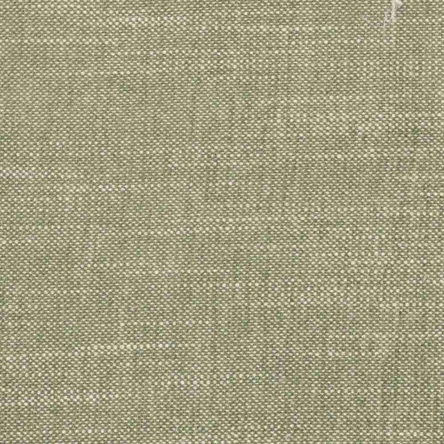 Sample of Stout Benton Avocado 2 Comfortable Living Collection Multipurpose Fabric
