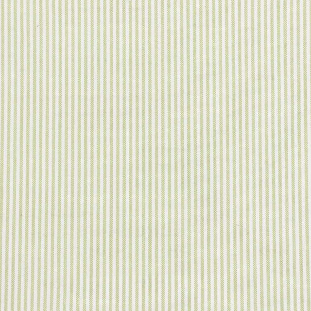 Sample of Stout Bethany Lime 1 Comfortable Living Collection Multipurpose Fabric