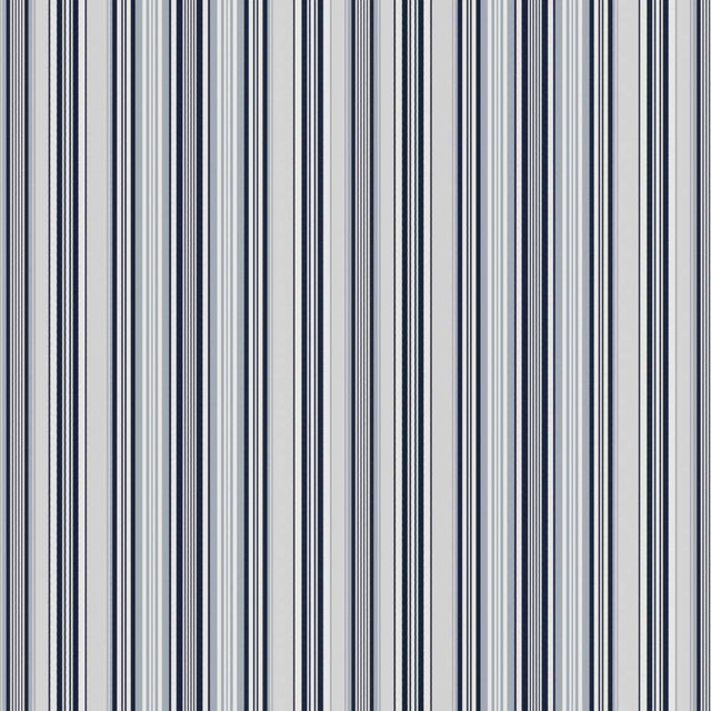Sample of Stout Bloomfield Lake 7836-3 Bassett McNab Collection Multipurpose Fabric