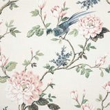 Sample of Stout Blossom Eggshell 1 Comfortable Living Collection Multipurpose Fabric