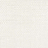 Sample of Stout Foundation Whitecap 7803-3 Bassett McNab Collection Drapery Fabric