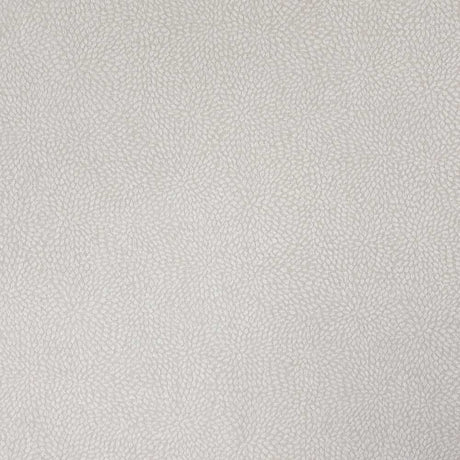 Sample of Stout Growl Oyster 4 Rainbow Library Collection Multipurpose Fabric