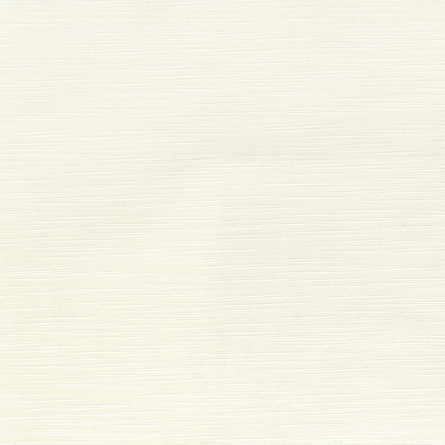 Sample of Stout Iverson Ecru 2 Color My Window Collection Multipurpose Fabric