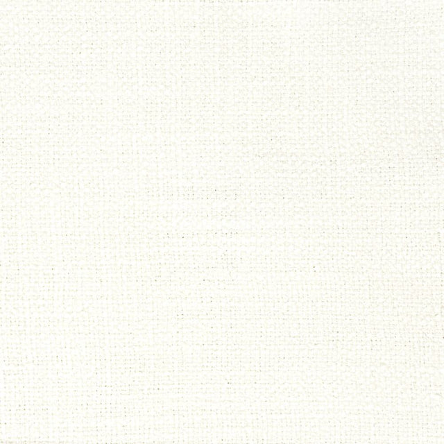 Sample of Stout Lohan Snow 3 Comfortable Living Collection Multipurpose Fabric