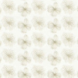 Sample of Stout Marnie Sandalwood 1 Color My Window Collection Drapery Fabric