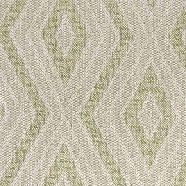 Sample of Stout Nervel Aloe 1 Rainbow Library Collection Multipurpose Fabric