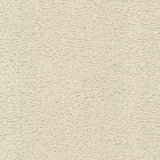Sample of Stout Pelage Ivory 1 Rainbow Library Collection Indoor Upholstery Fabric