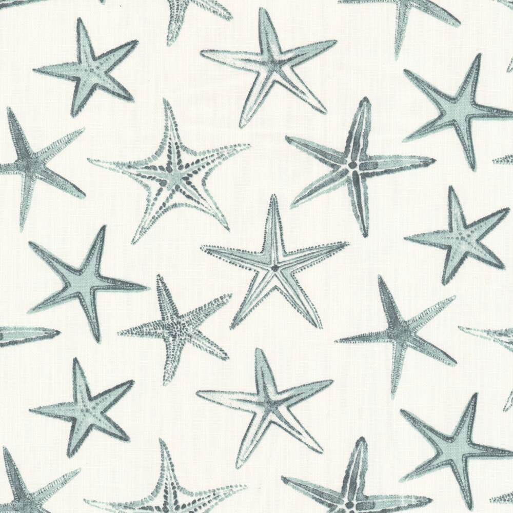Sample of Stout Seagate Teal 1 Comfortable Living Collection Multipurpose Fabric