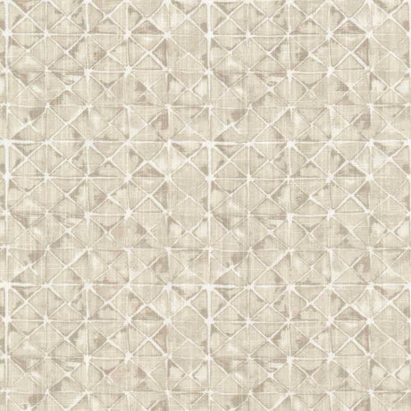 Sample of Stout Smyrna Beige 1 Rainbow Library Collection Multipurpose Fabric