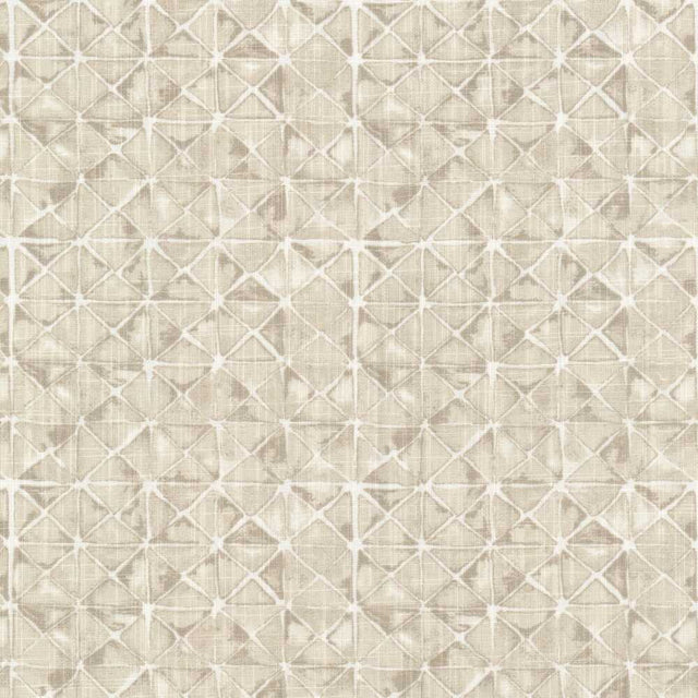 Sample of Stout Smyrna Beige 1 Rainbow Library Collection Multipurpose Fabric