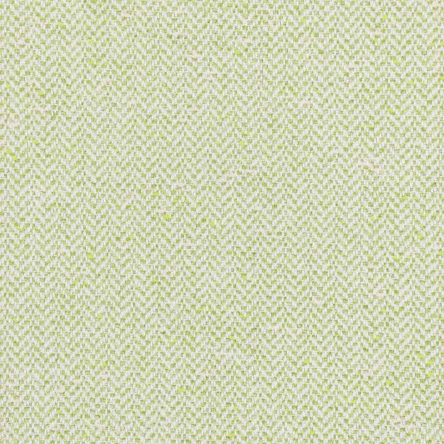 Sample of Stout Sunnybrook Spring 7838-2 Bassett McNab Collection Upholstery Fabric