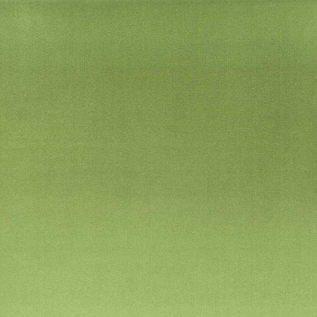 Sample of Stout Tinker Basil 2 Rainbow Library Collection Multipurpose Fabric