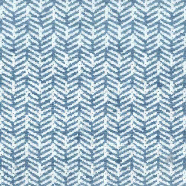 Sample of Stout Tipsey Blue/White 1 Comfortable Living Collection Multipurpose Fabric