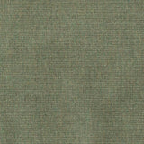 Sample of Sunbrella Ambrose Fern 40608-0010 Upholstery Fabric
