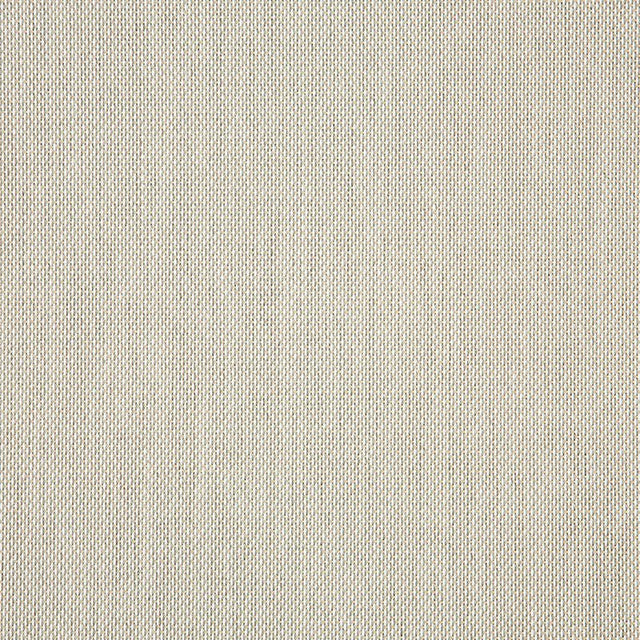 Sample of Sunbrella Augustine Oyster 3050345 Sling Fabric