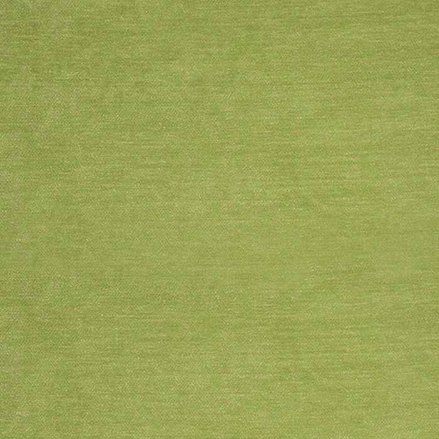 Sample of Sunbrella by Alaxi Bentley Kiwi Atmospherics Collection Upholstery Fabric