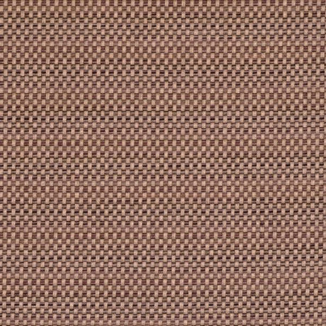 Sample of Sunbrella by Alaxi Cambria Truffle Best of Alaxi Collection Upholstery Fabric