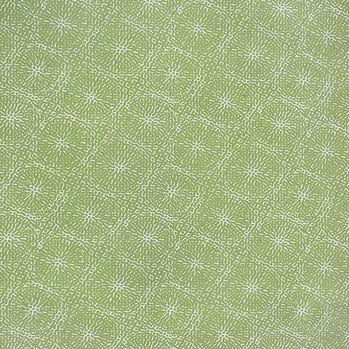 Sample of Sunbrella by Alaxi Copeland Aloe Atmospherics Collection Upholstery Fabric