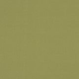Sample of Sunbrella by Mayer Soleil Wasabi 416-013 Imagine Collection Upholstery Fabric