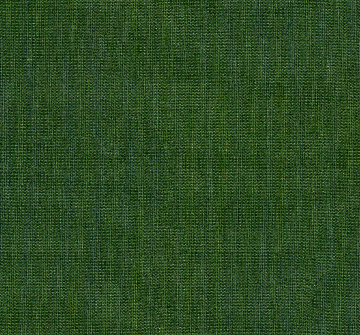 Sunbrella Canvas Calathea SJA 3999 137 European Collection Upholstery Fabric