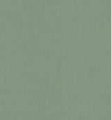 Sunbrella Canvas Celadon SJA P103 137 European Collection Upholstery Fabric