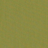 Sample of Sunbrella Canvas Lichen SJA 3970 137 European Collection Upholstery Fabric
