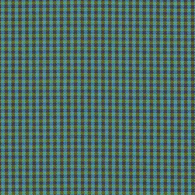Sample of Sunbrella Checks Oliver Green CHE F059 140 European Collection Upholstery Fabric
