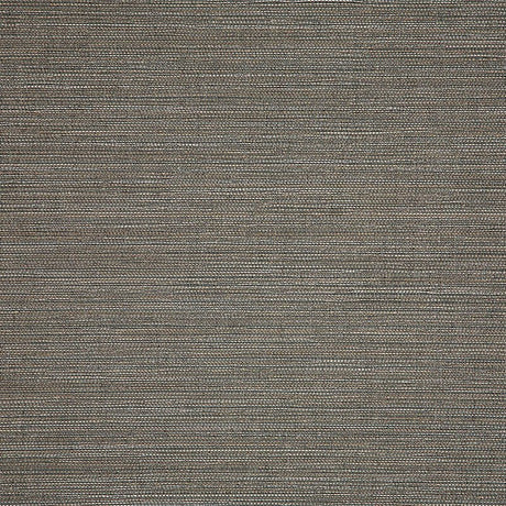 Sample of Sunbrella Collect Charcoal 3050505 Sling Fabric