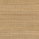 Sample of Sunbrella Destiny Sand 3050133 Sling Fabric