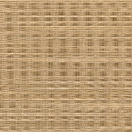 Sample of Sunbrella Destiny Sand 3050133 Sling Fabric