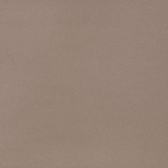 Sample of Sunbrella Horizon Capriccio Taupe 10200-0010 Marine Vinyl Elements Collection Upholstery Fabric