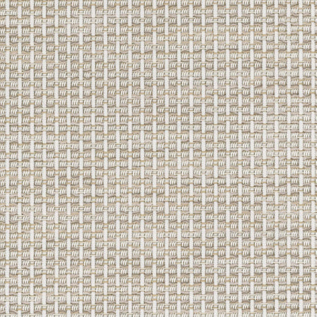 Sample of Sunbrella Igneous Cream 3050620 Sling Fabric