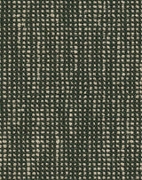 Sunbrella Slow Fern SLO 19106 140 European Collection Upholstery Fabric