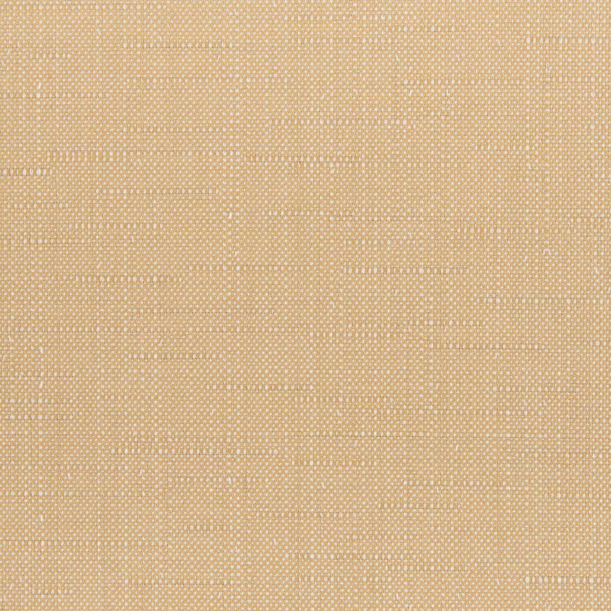 Sunbrella Willa Toast 146465-0028 Upholstery Fabric