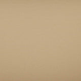 Sample of Tempotest Home Classic Biscotti 52/15 Foundations Collection Upholstery Fabric