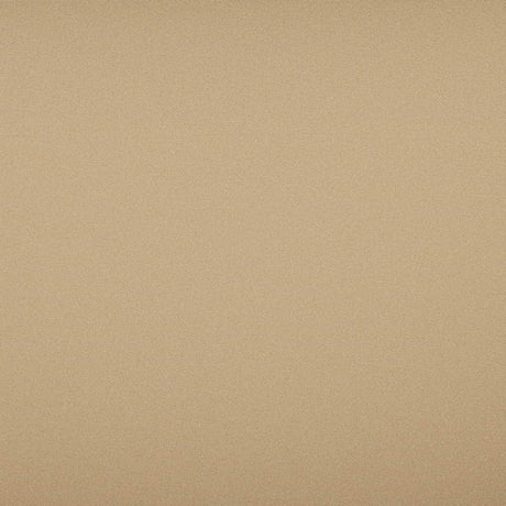Sample of Tempotest Home Classic Biscotti 52/15 Foundations Collection Upholstery Fabric