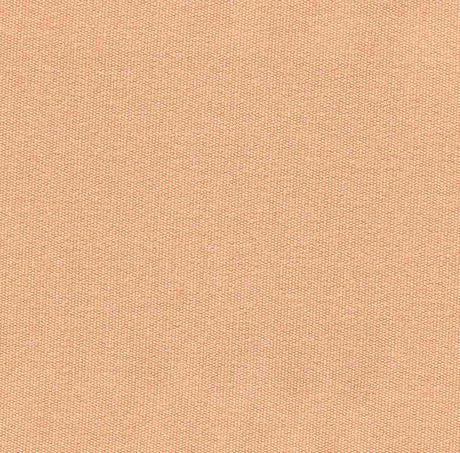 Sample of Tempotest Home Classic Complexion 26/15 Foundations Collection Upholstery Fabric