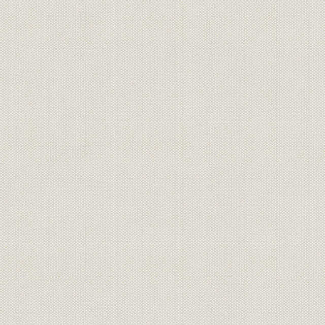 Sample of Tempotest Home Giovarello Blanco 51733-38 Capstone Collection Upholstery Fabric