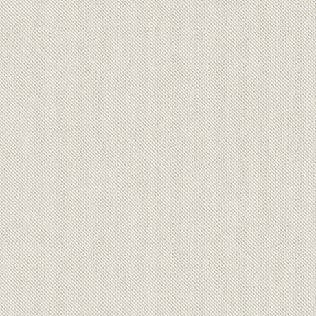Sample of Tempotest Home Maggio Blanco 51737-33 Capstone Collection Upholstery Fabric