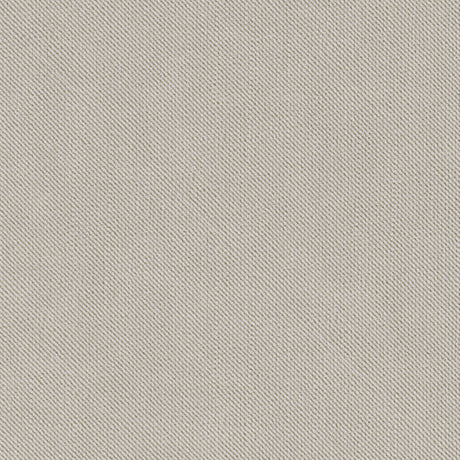 Sample of Tempotest Home Maggio Dove 51737-2 Capstone Collection Upholstery Fabric