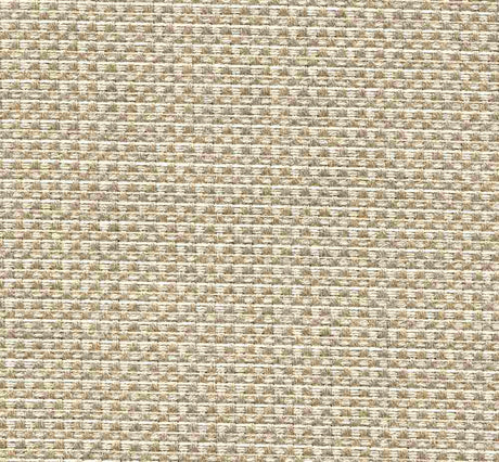 Sample of Tempotest Home Michelangelo Toast 50964/22 Foundations Collection Upholstery Fabric