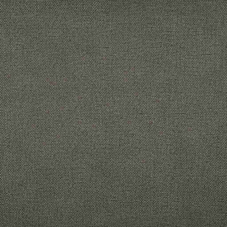 Sample of Tempotest Home Raffaello Charcoal 50965/8 Foundations Collection Upholstery Fabric