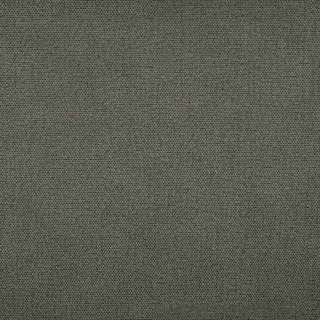 Sample of Tempotest Home Raffaello Charcoal 50965/8 Foundations Collection Upholstery Fabric