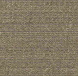 Sample of Tempotest Home Sand Bark 1041/14 Foundations Collection Upholstery Fabric