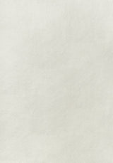 Thibaut Arcata Ivory W78381 Sierra Collection Upholstery Fabric