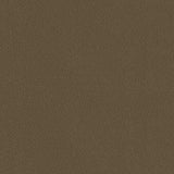 Sample of Top Gun 1S 4065 Hemp Beige 60 Inch Marine Topping and Enclosure Fabric